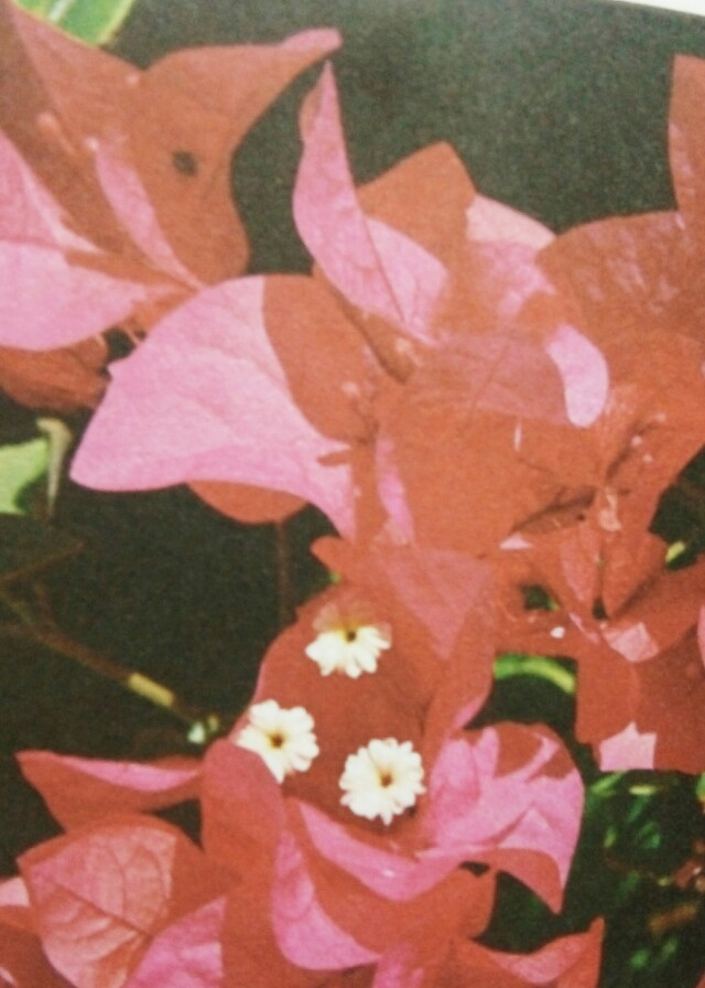 什么叫团结是最好的力量,有一种力量叫团结优美句子