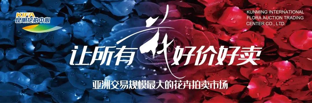 资讯信息类应用场景包括,商务资讯有哪些