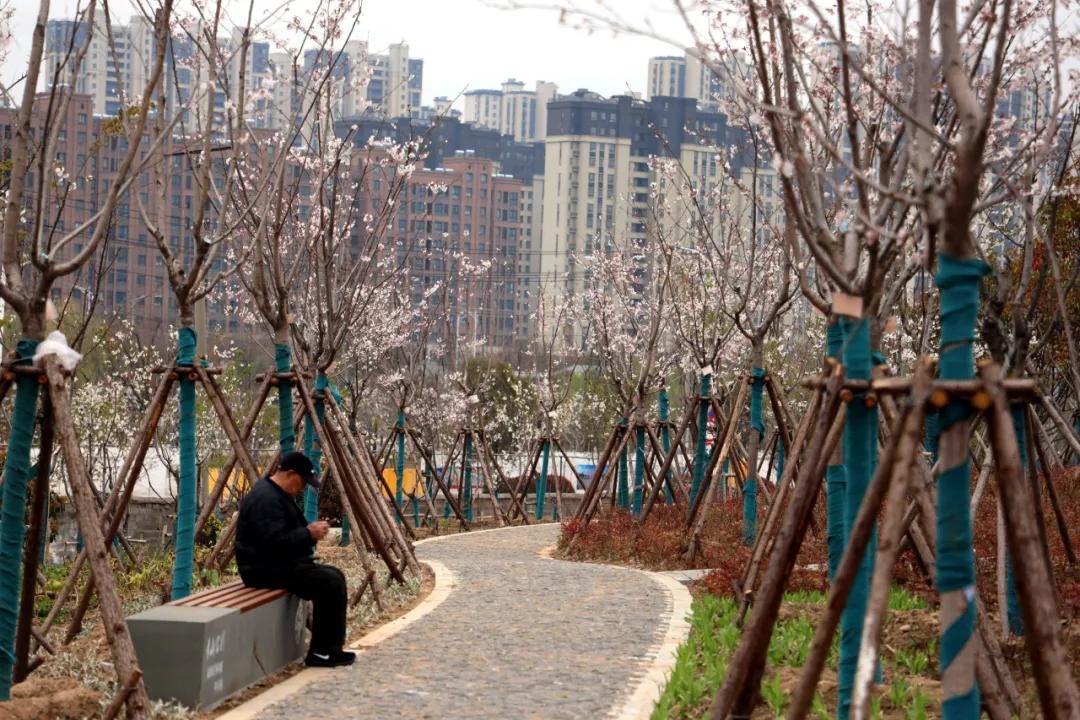 龟山板块,龟山板块发展