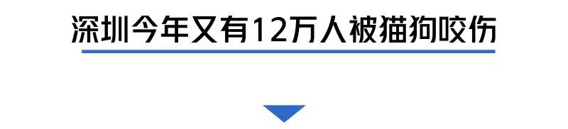 被猫狗咬伤如何正确处理,被猫狗咬伤十天了还能打针吗