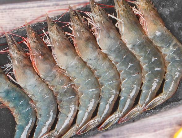 去超市买虾哪种最好,去超市买虾注意什么细节