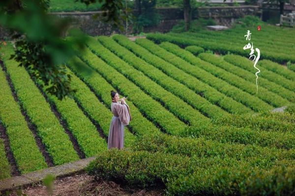 24个杭州古风拍摄地，随便一按都是张武侠大片！