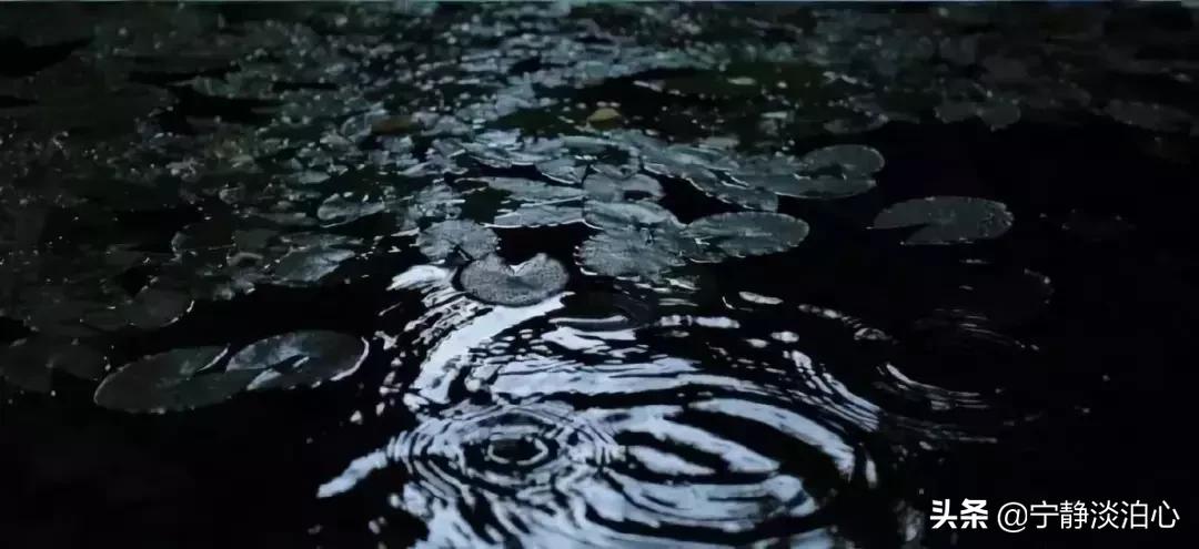 一日慎独则心安日日精进,日日精进人生