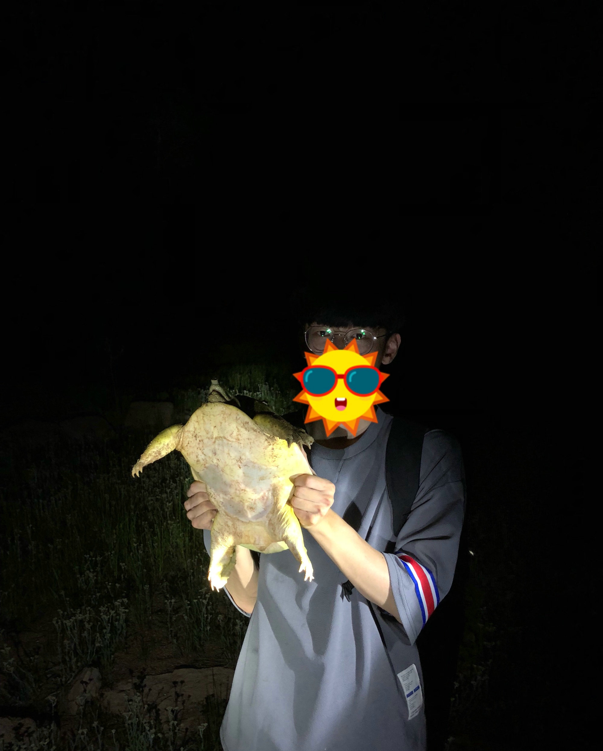 钓鱼人钓到鳖,南阳一46斤百年巨鳖上岸被捉