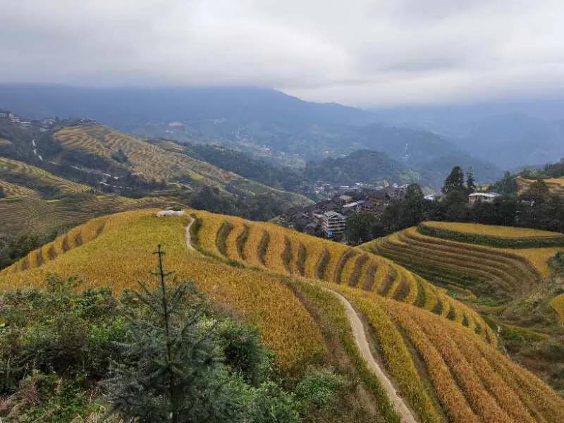 自驾游桂林龙脊梯田怎么玩的,自驾游桂林龙脊梯田怎样游
