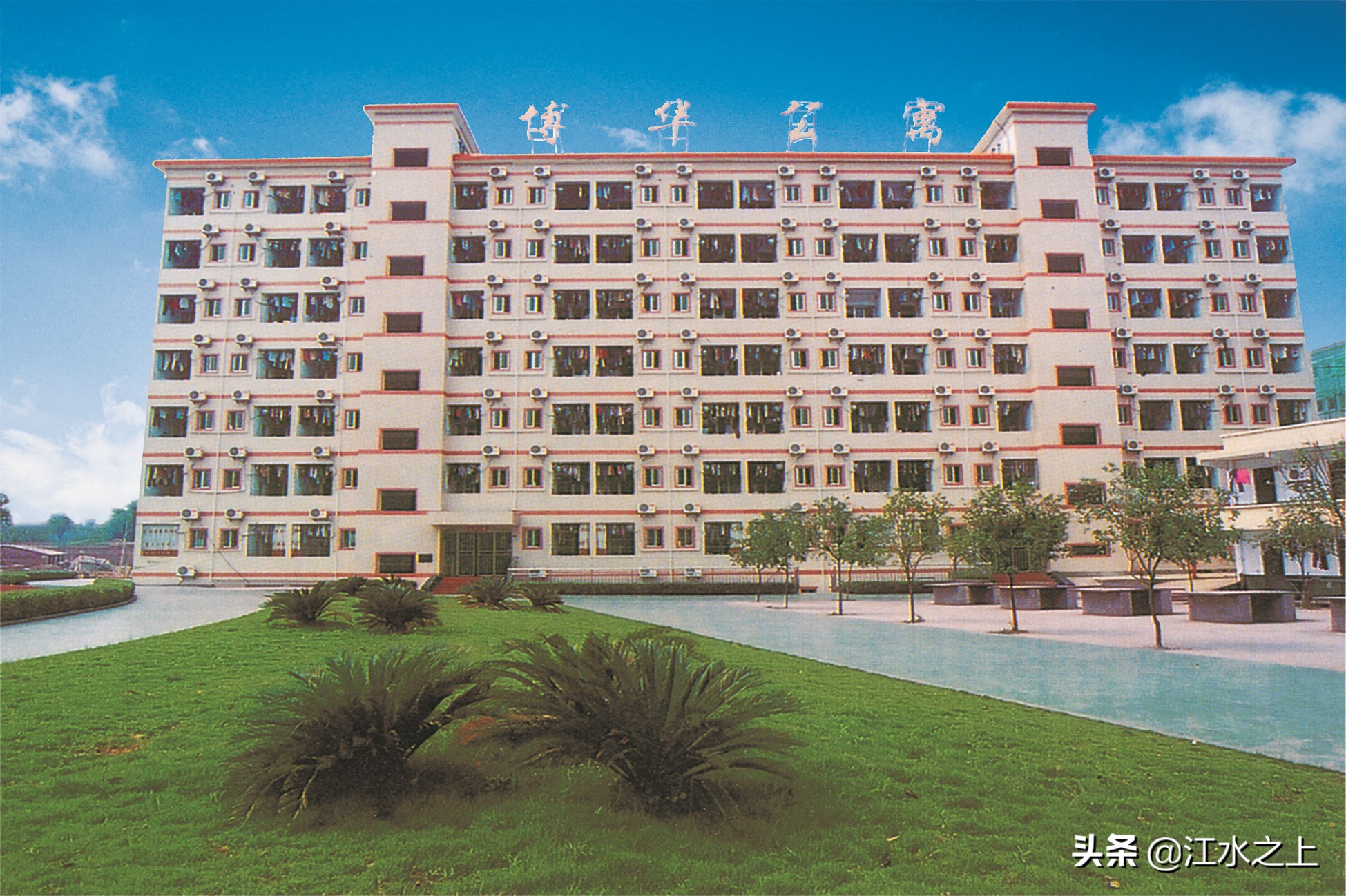 今年泸县一中高考情况,泸县一中五中四中今年的本科率