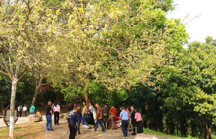 美丽的南湖公园夜景,南湖风景区真的太美了