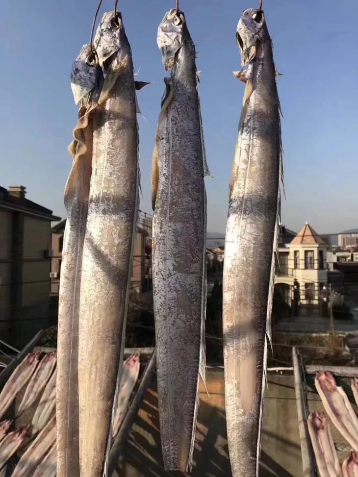 宁波一个人可以去哪里,宁波一个人可以逛的地方