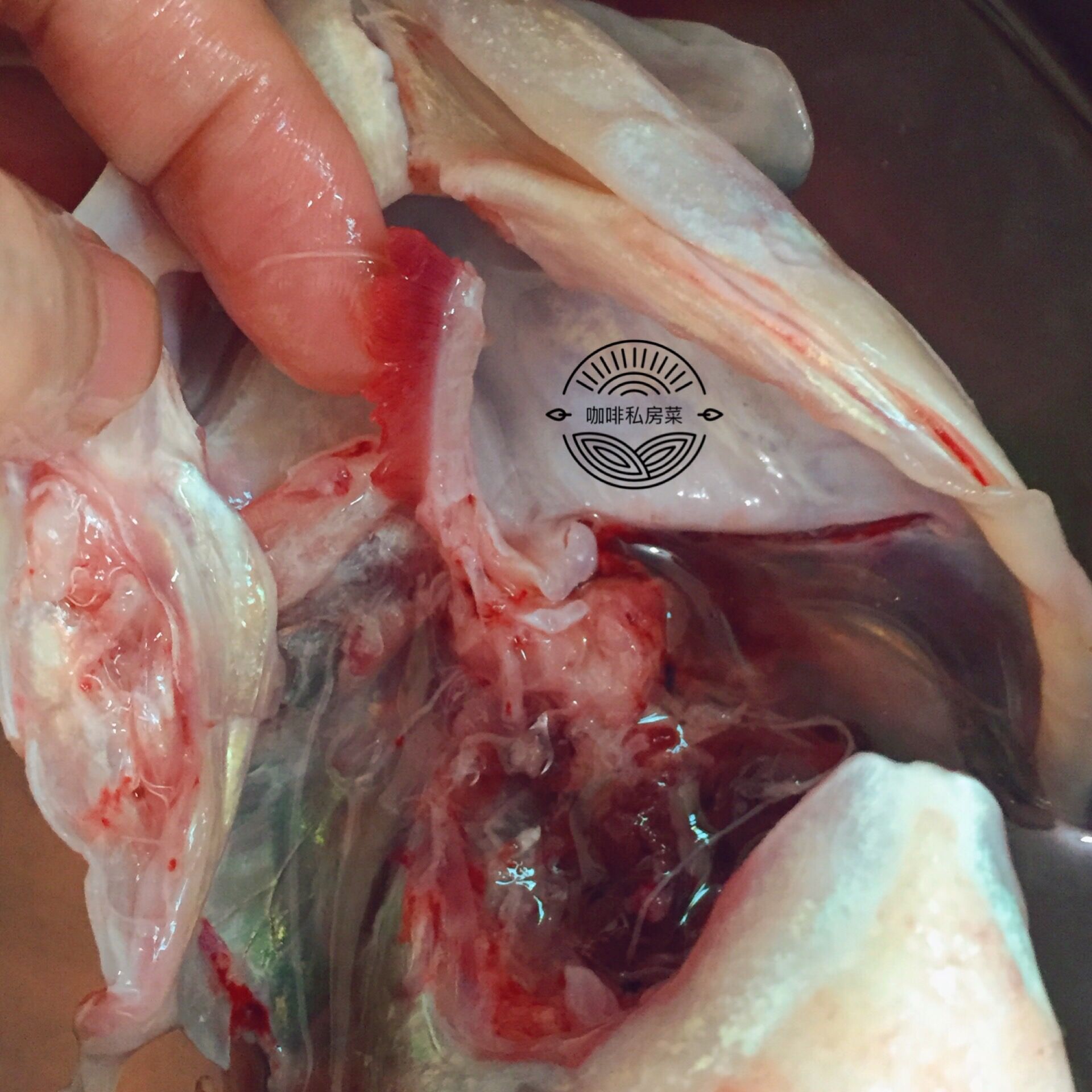 做清蒸鱼用什么油淋,清蒸鱼先放蒸鱼豉油还是先浇热油