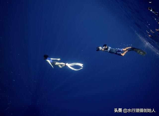 帕劳岛自由行潜水,帕劳水母湖自由潜视频