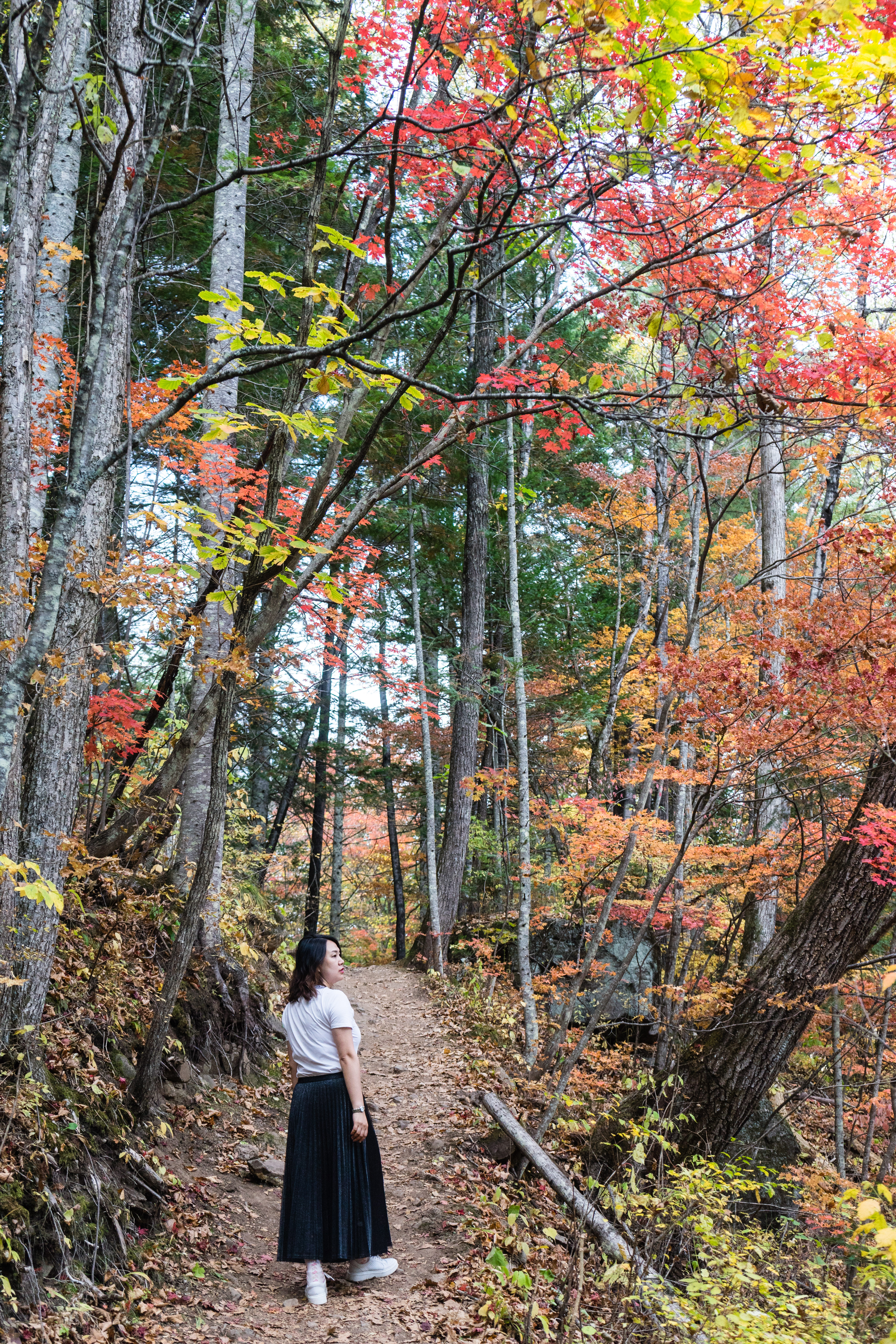 中朝边境自驾游视频,331国道自驾中朝攻略