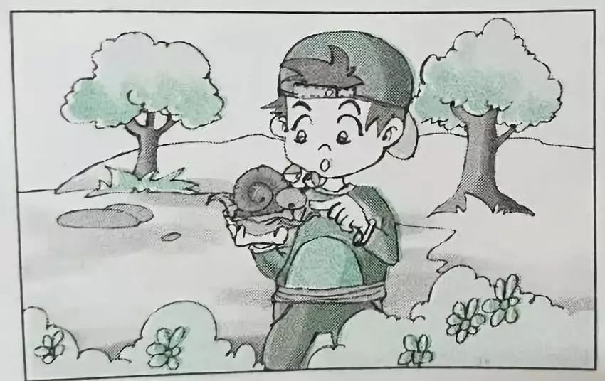 一二年级看图写作方法及例文,一二年级看图写话写作方法