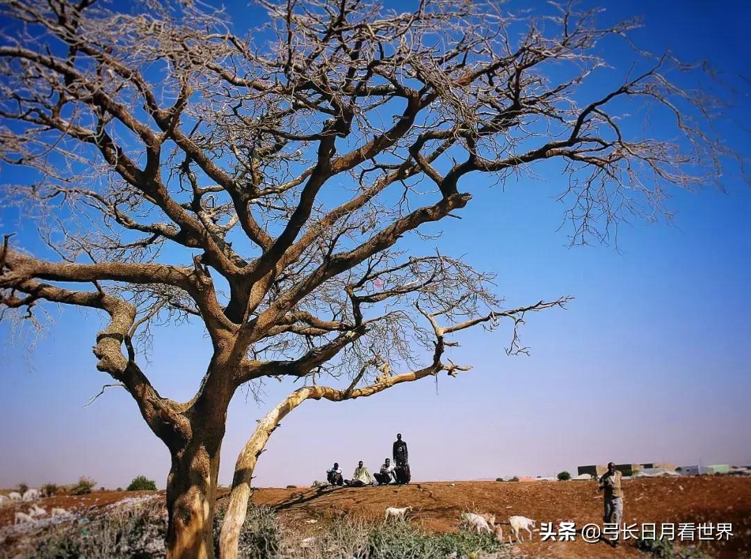 一年旅行20个国家,旅行一年花费
