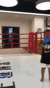 新娘开心的搞笑视频,搞笑gif开心一刻女司机上车