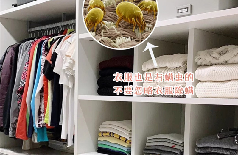 超级有效的除螨产品,除螨效果最好的是什么产品