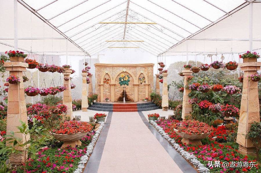 深圳南山区青青世界视频,青青世界深圳热带雨林