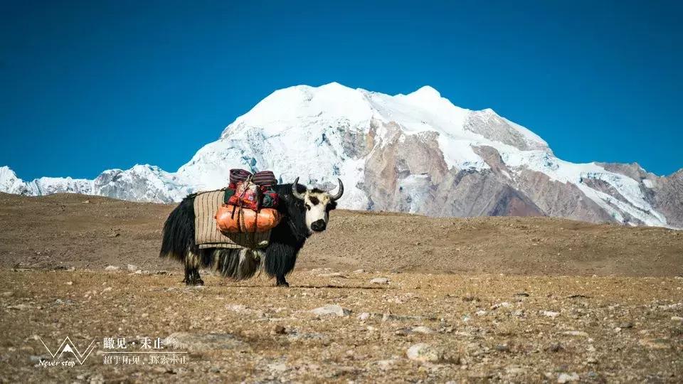 10.1玉龙雪山徒步全攻略,希夏邦马峰徒步路线图