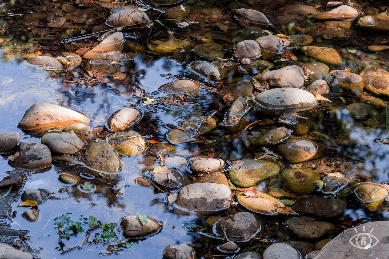 深圳十大顶级公园,深圳市十大风景公园排名