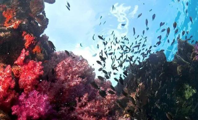 解锁夏日探索心中最美的海岛