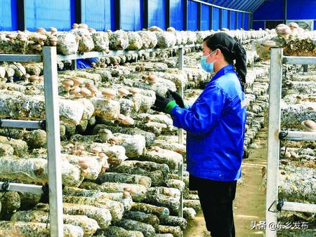 高质量打赢脱贫攻坚战,高质量发展巩固拓展脱贫攻坚成果