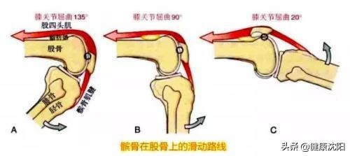 健康科普堂老年骨折的预防和治疗,健康科普堂急救法