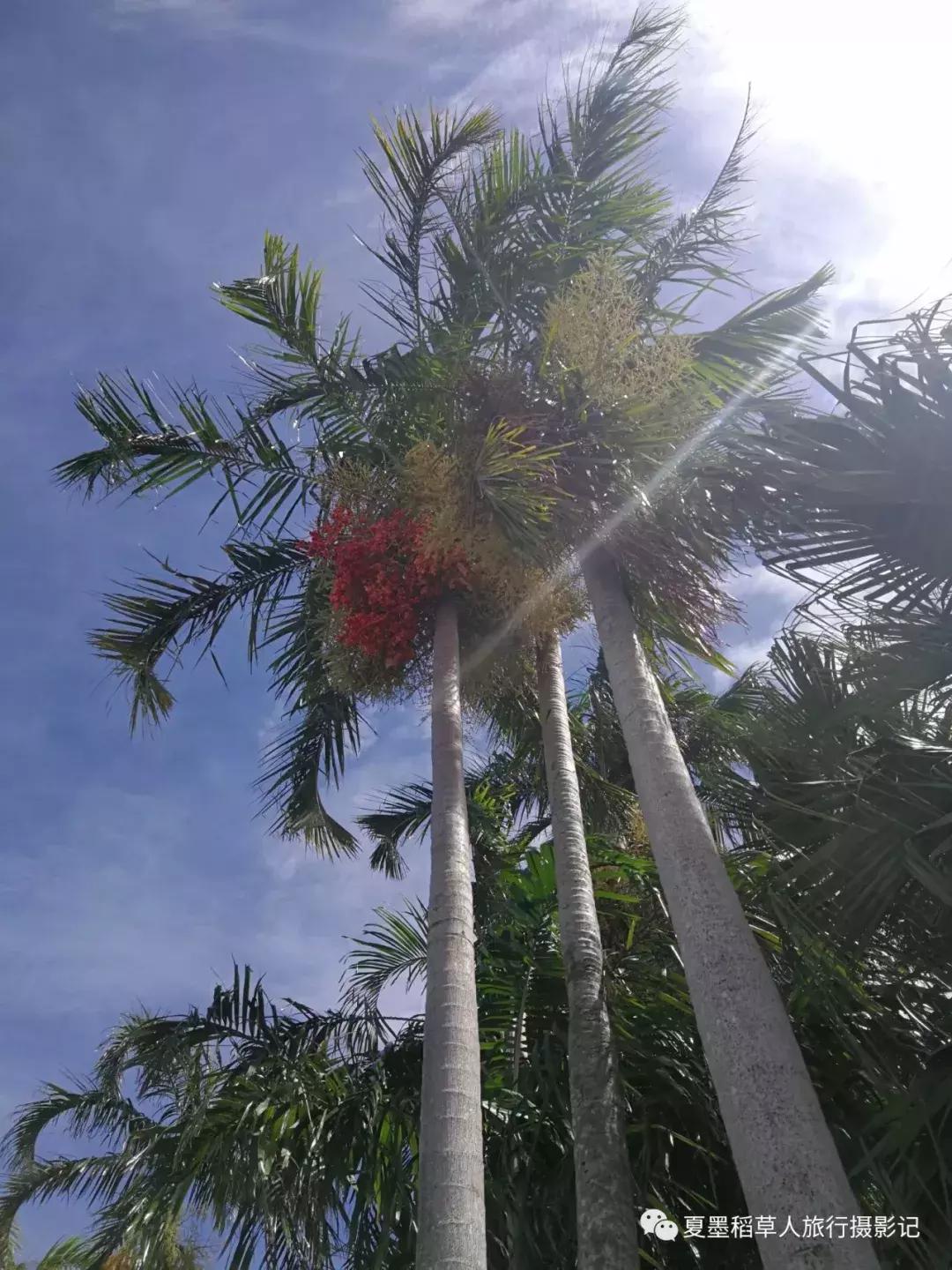 美国盗刷信用卡会被判刑几年,美国信用卡被盗刷可以追回吗