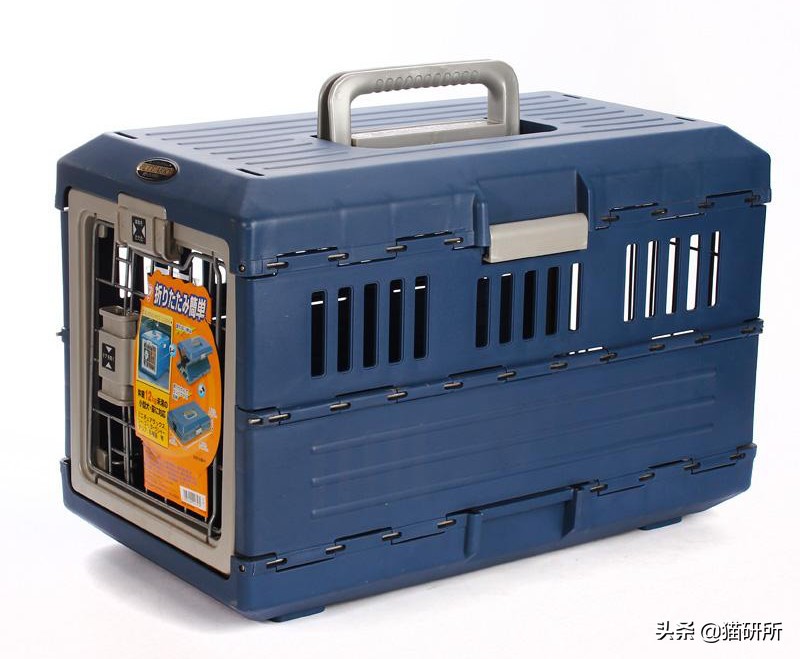 猫咪航空托运全面解析铲屎官必看,八大航空公司对于托运猫咪要求