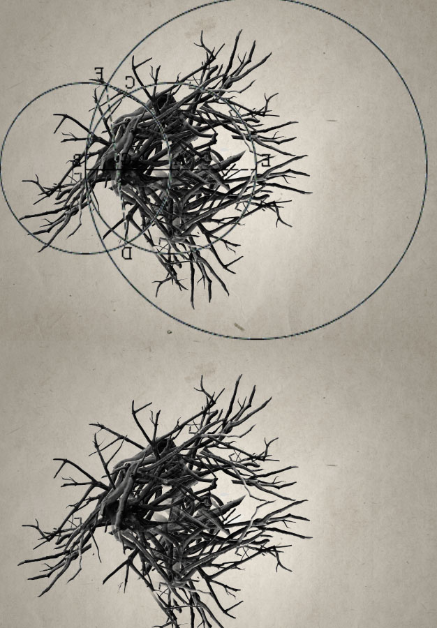 ps如何换花朵教程图解,ps怎么画枯萎的玫瑰