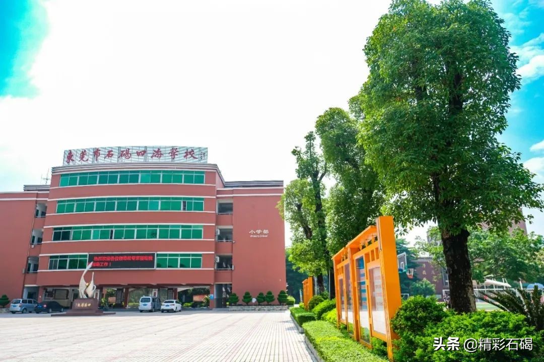 东莞石碣四海学校几时考试,石碣镇四海学校招生电话