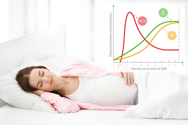 雌二醇和孕酮低可以备孕吗,孕酮低流产怎么调理下次备孕