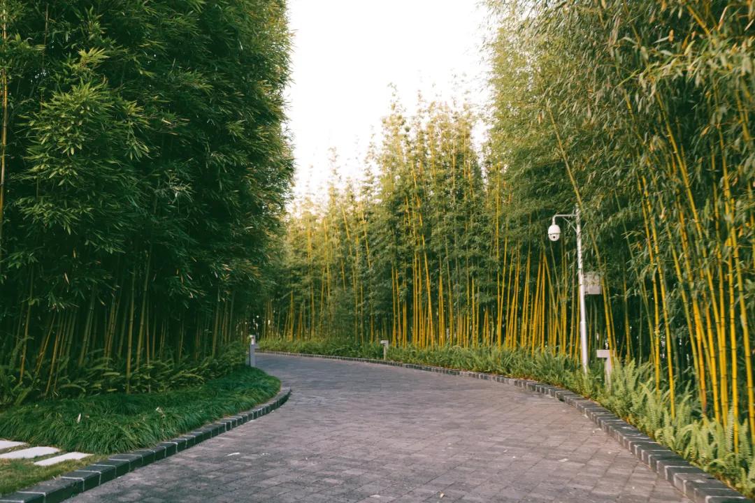 腾冲悦榕庄酒店团购3天2晚,腾冲悦榕庄温泉酒店多少一夜