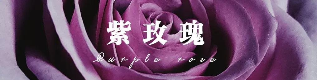 花店必备的5款玫瑰,鲜花图鉴一次性认识30种玫瑰花