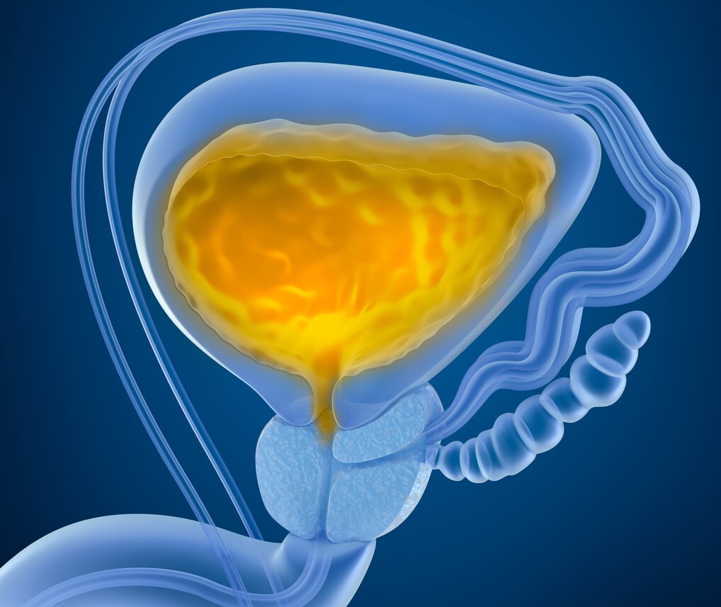 男人年龄大了都会前列腺增生吗,上了年纪都会有前列腺钙化点