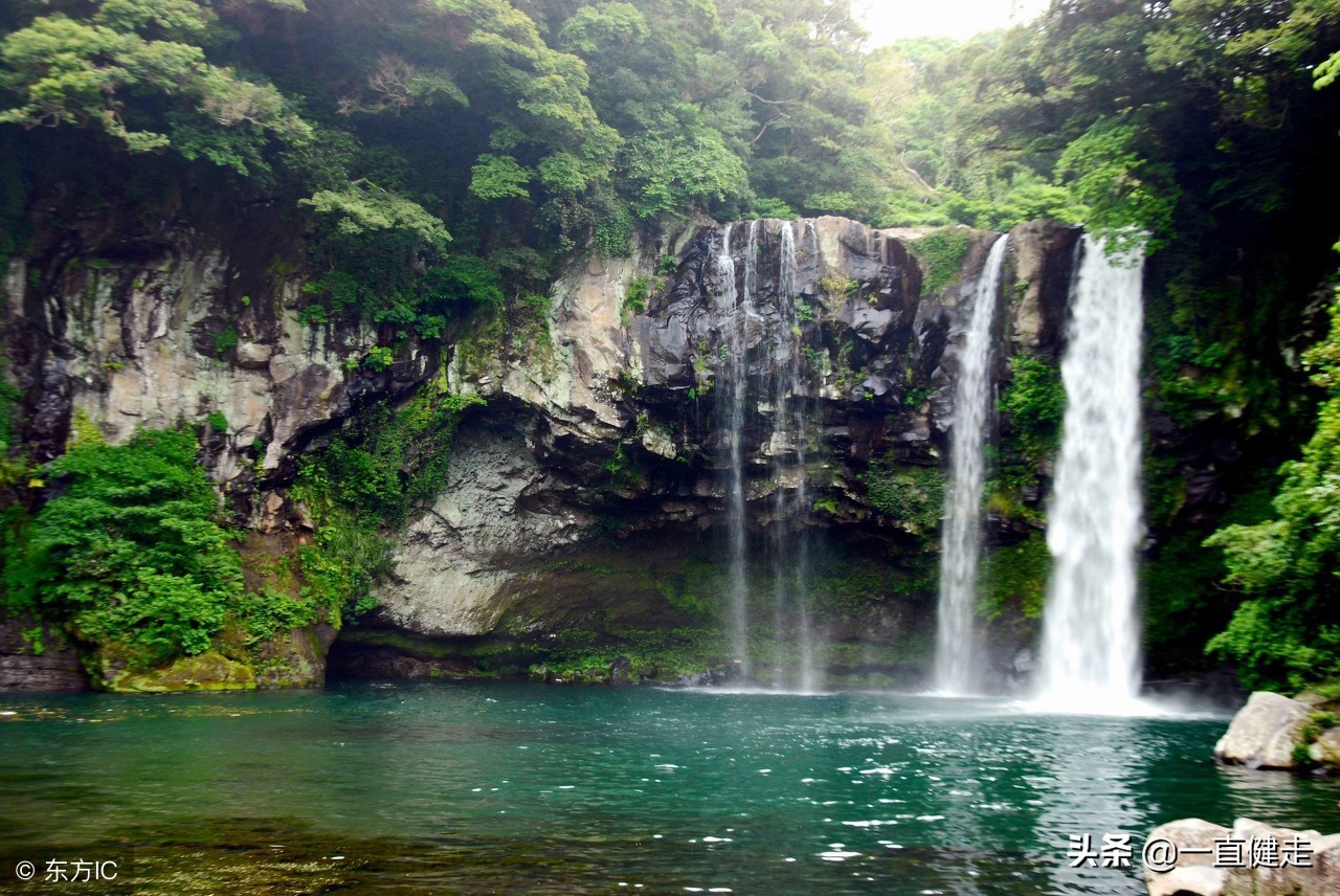 菜根谭作者洪应明简介,洪应明菜根谭全文及译文