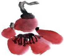 零基础梅花花朵入门画法,零基础学国画梅花入门步骤