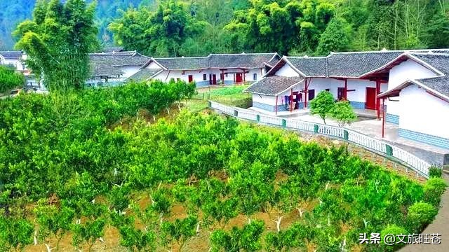 今年春节，留在旺苍过年吧！此心安处是吾乡