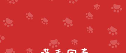 猫心内膜炎是种什么疾病？患病猫咪饱受痛苦，需铲屎官小心照看