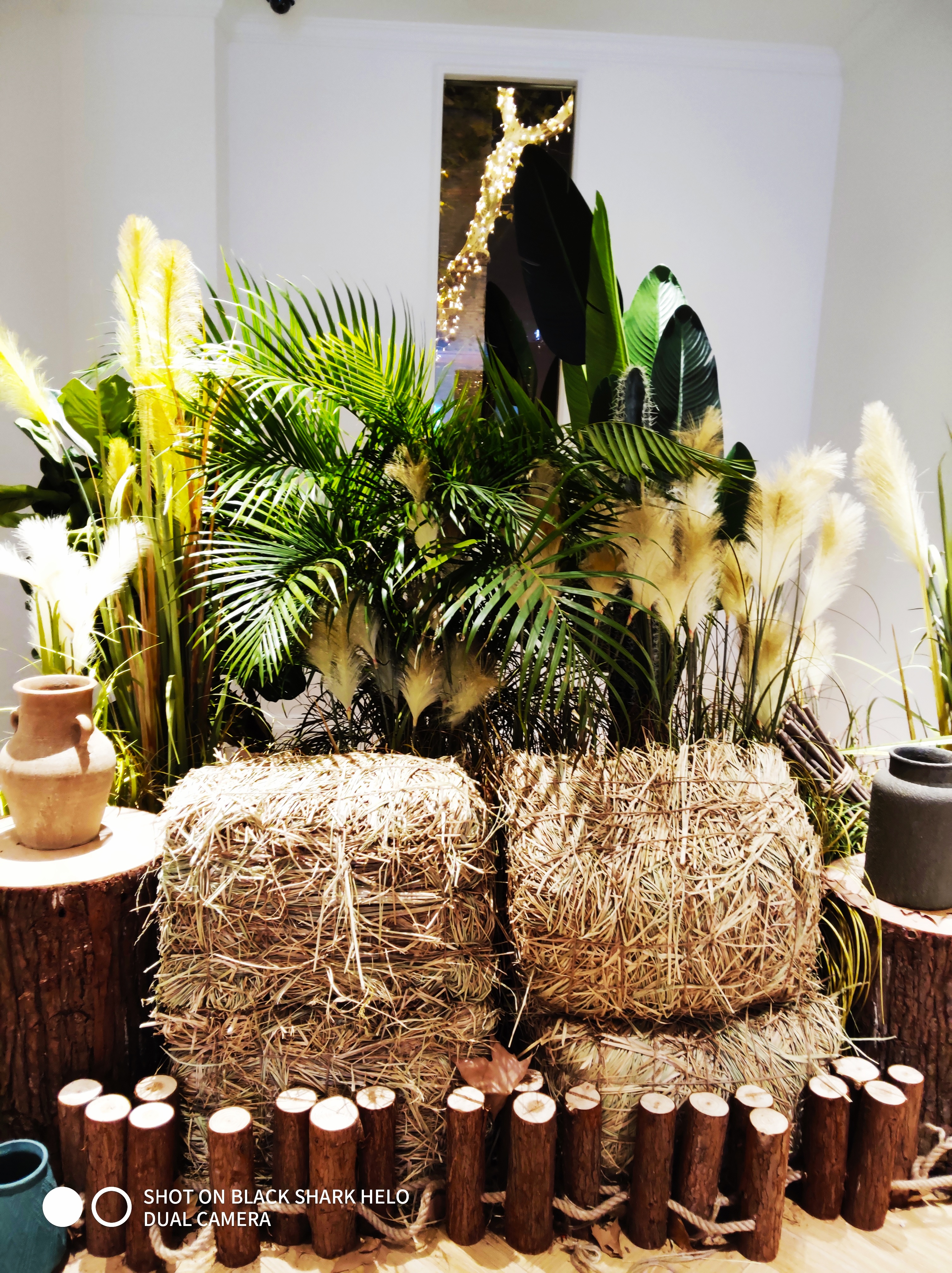 黑鲨游戏手机2.12.5,黑鲨游戏手机2代黑鲨helo