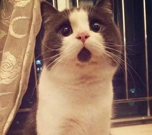 案例：新购实惠二手车竟是卖主租来的？松江一男子错将*子骗**当恩人