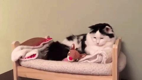 旧枕头不要扔掉不然会后悔的,旧枕头别扔