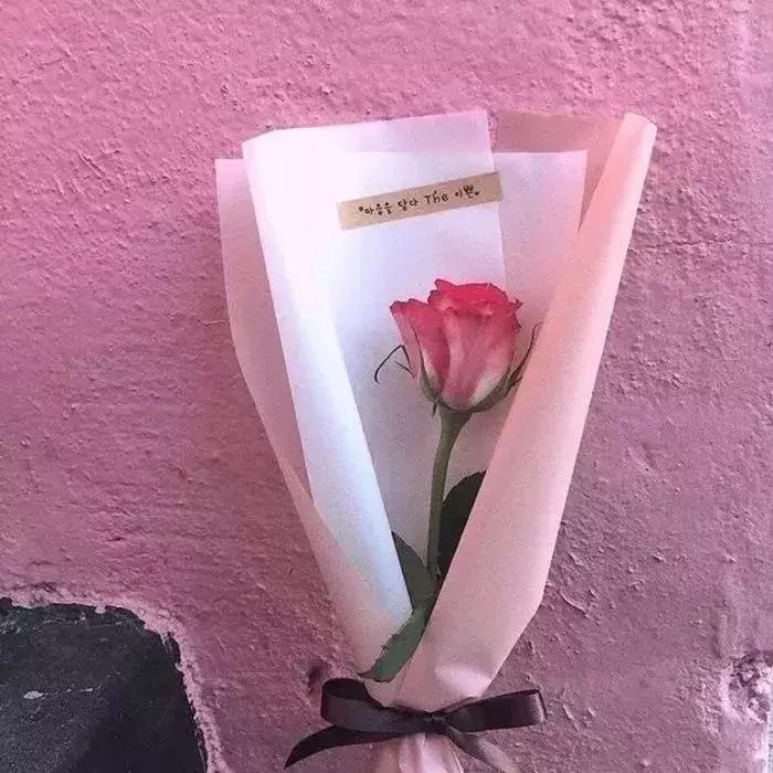 背景图推荐全白,背景图精选好物