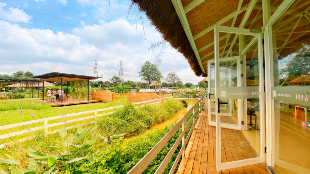 广州周末带娃好去处免费,广州遛娃的地方免费景点