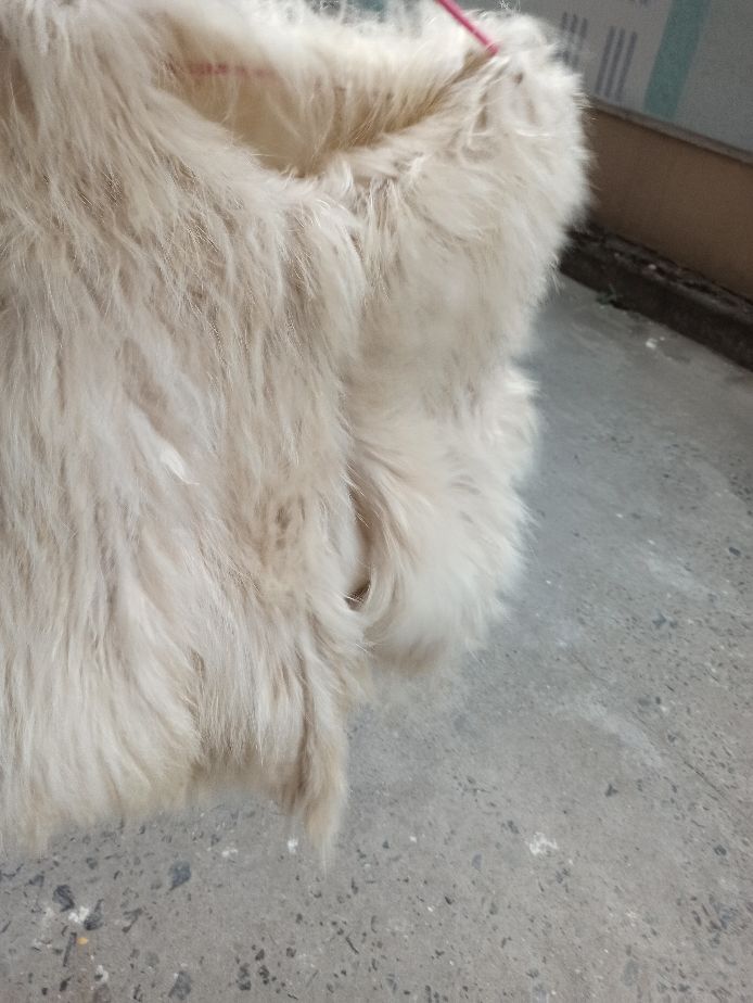 干洗皮草教程怎么洗的,干洗店都是怎么洗皮草