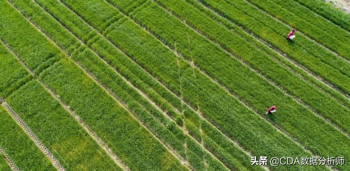 2023流行趋势分析报告,2022行业风向