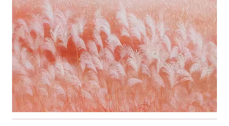 女人梦见好多蛇很害怕是什么预兆,梦见蛇感到非常恐惧怎么办