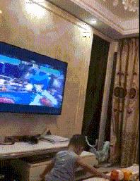 搞笑gif开心一刻单身也挺好,搞笑gif开心视频