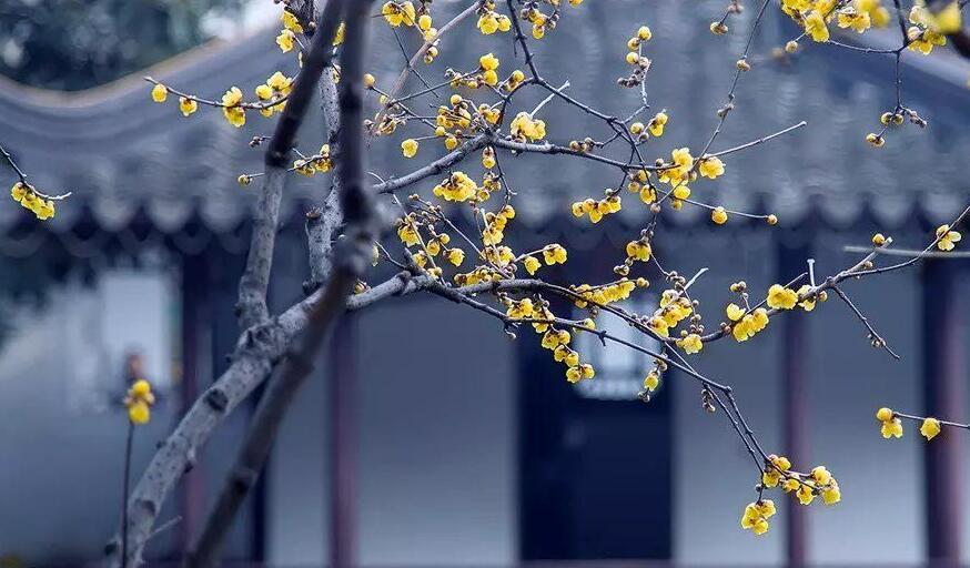 诗词谜语大全及答案,庄子鼓盆而歌的故事100字