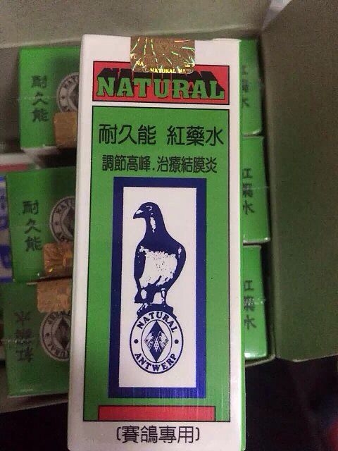 喜欢赛鸽的朋友，一定为秋赛前如何做条苦恼过吧，哪种方法正确？