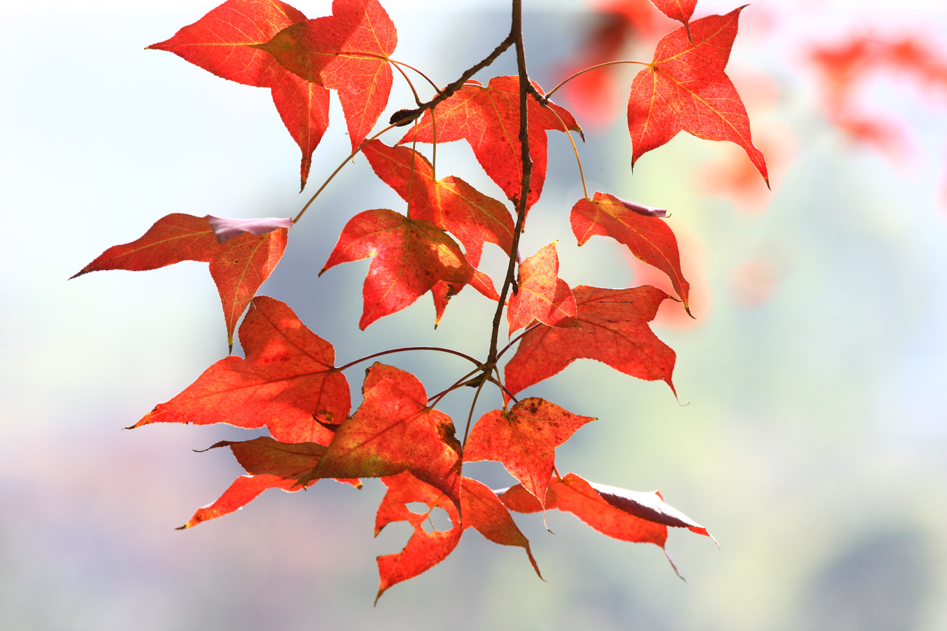 佳能1dsmark3还值得买吗,ds时代