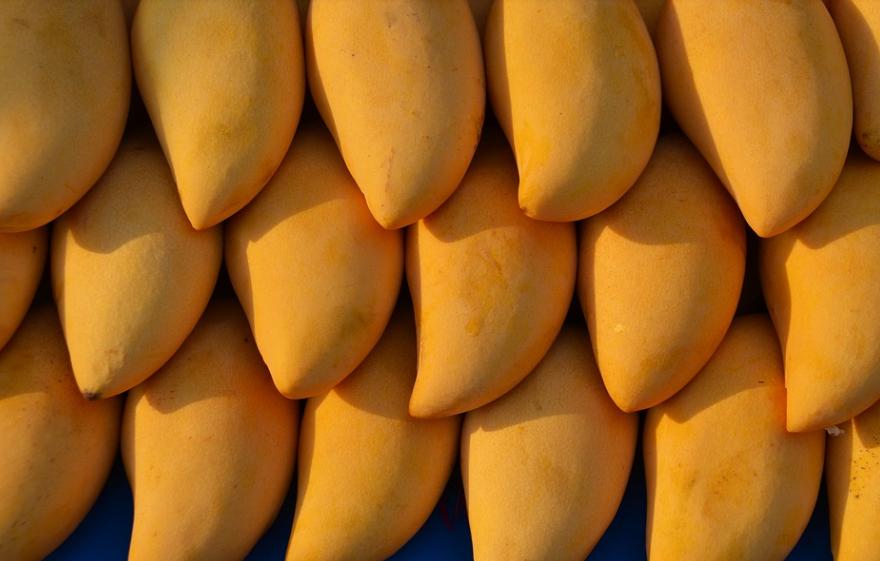 一天一个鸡蛋吃出事,三岁男孩吃煮鸡蛋丧命